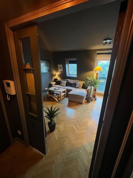 Appartement Cosy Le Chesnay Льо Шене Екстериор снимка